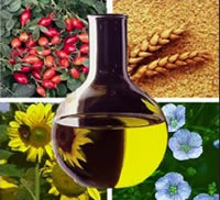 Entregas de biodiesel crescem 15,4% no 1º bimestre